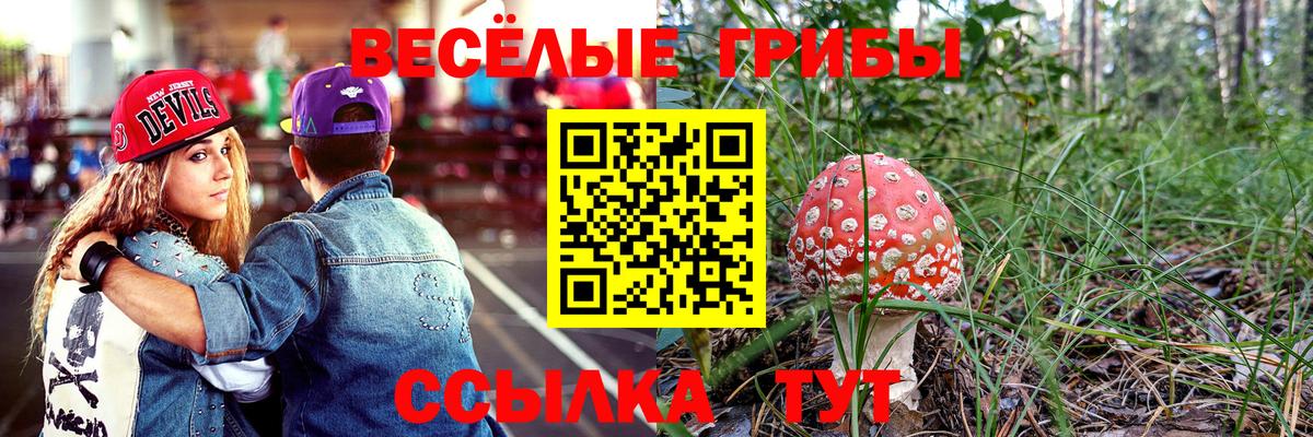 Галлюциногенные грибы GOLDEN TEACHER  Вход с VPN  Дальнереченск 